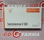 Olymp Testosterone Е 250мг/мл-цена за 10ампул купить в России